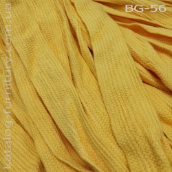 bg-561
